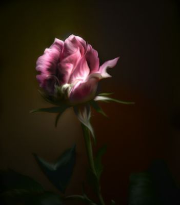g4/00/42600/3/63032089.YNBVBDdv.jpg