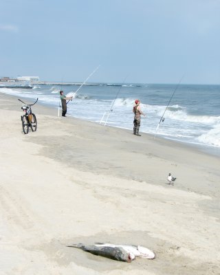 Cape May Fishermen 9623