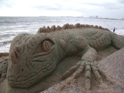 Sand iguana