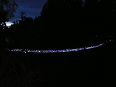 Capilano suspension bridge-Christmas time