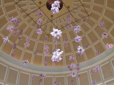 Springtime in Bellagio