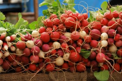 102mDSC05719radishes.jpg farmers market.... in the rain on my knees