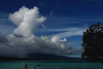 overlooked image... Pohnpei, Micronesia from Black Coral Island...