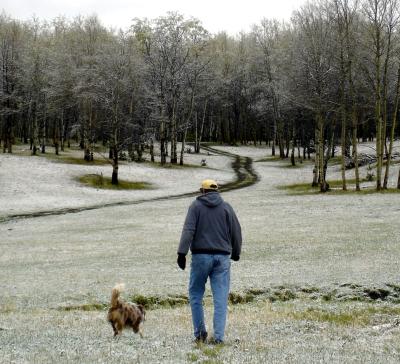 Spring Snow