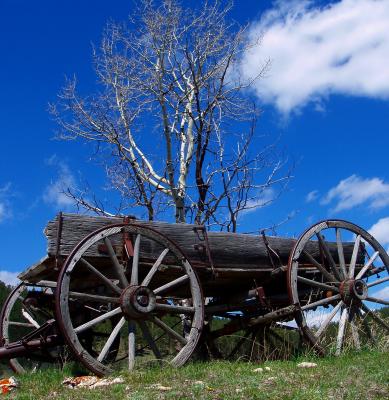 Prairie Wagon