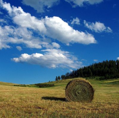 Hay Bale