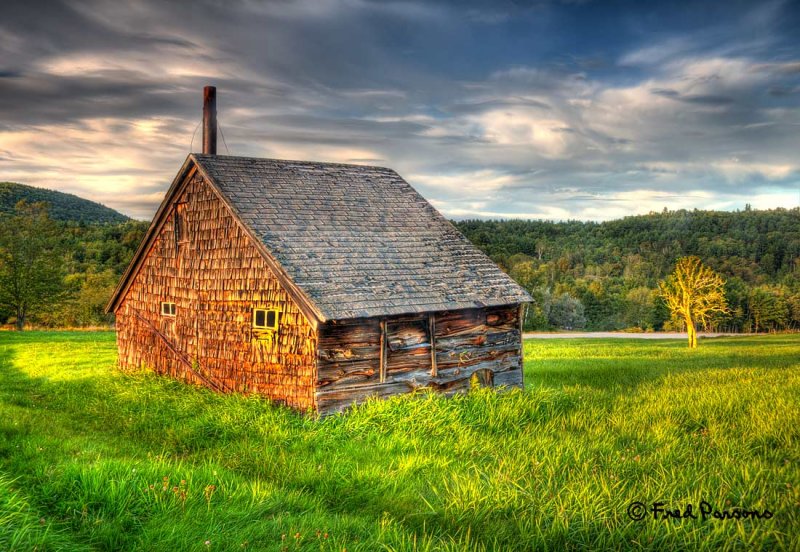_MG_8892_6 TM Shed & Tree  (see other images in this project gallery)