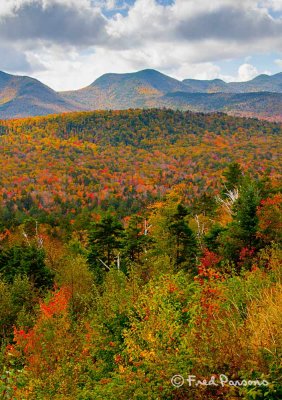 _MG_9170 Kancamagus Highway