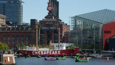 MD - Baltimore Inner Harbor - dragon boats