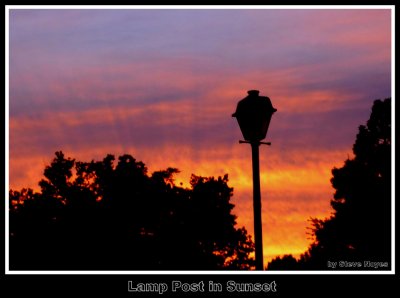 lamp post in sunset.JPG