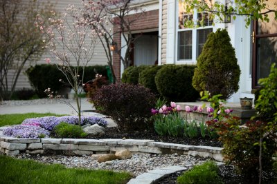 Spring2012-4198.jpg
