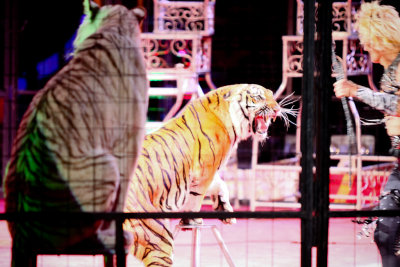 Circus-4270.jpg