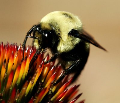 07-05-05_0874