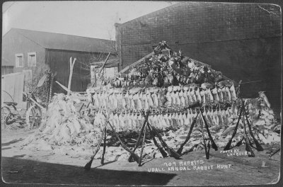 Udall Kansas Rabbit Hunt 1909.