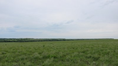 View from the old house.