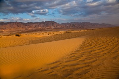 IMG_2562 - Samar Dune 