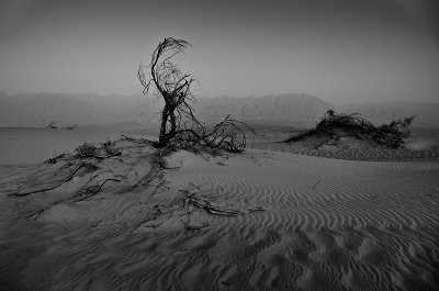 IMG_2696 - Samar Dune 