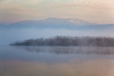 IMG_6286 - Hula Valley