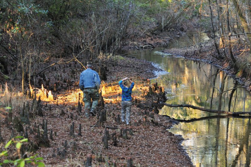 Etoniah Creek in the fall