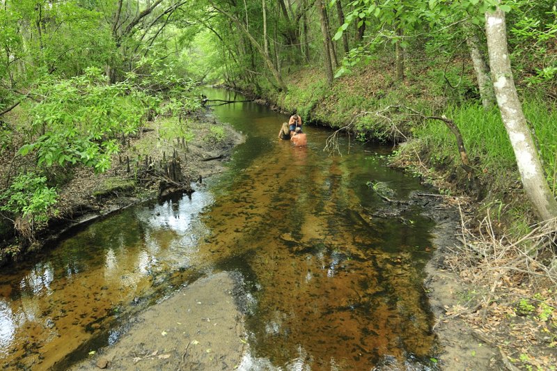 Etoniah Creek