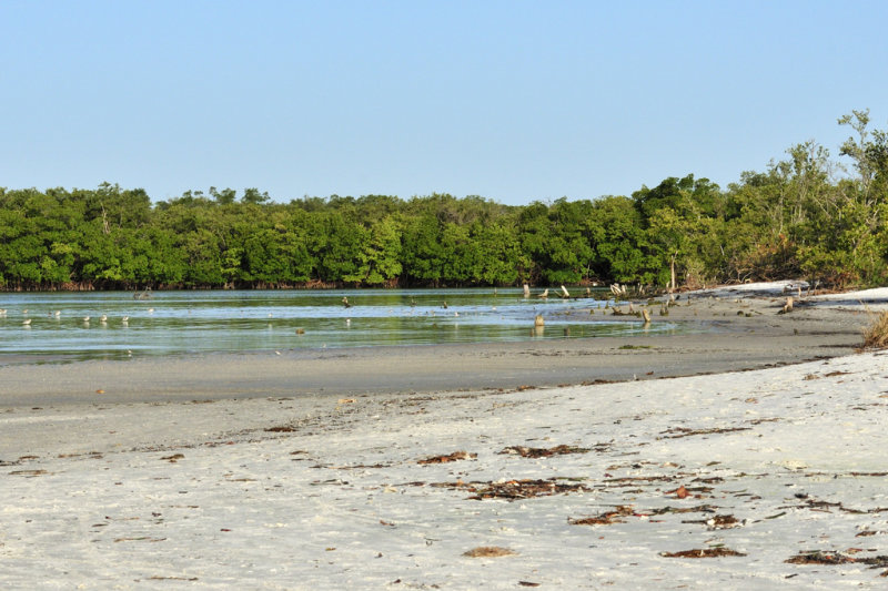 Bunche Beach
