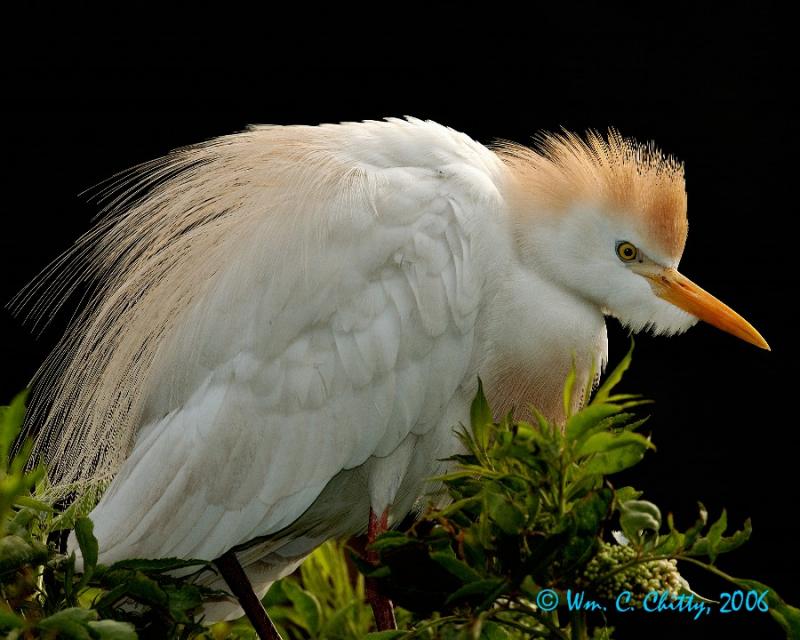 DSC_0124s.jpg