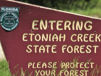 Etoniah Creek State Forest