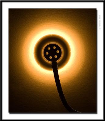 Electric dandelion 2