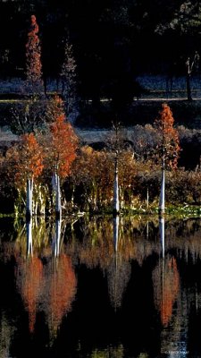Landscape Creations