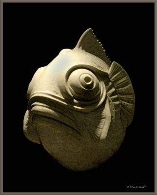 Funky Fish