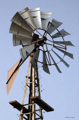 Windmill Watercolor Circle B Reserve