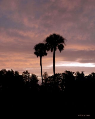 Circle B Sunrise 3-6-11