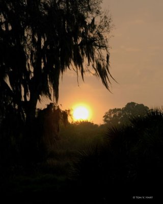 Dusk 3-9-11
