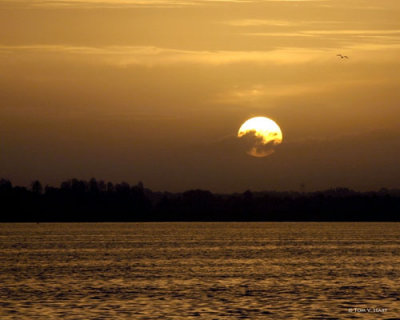 Lake Hancock 3-6-11