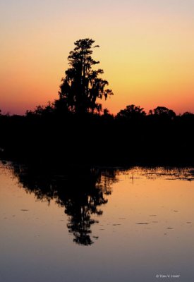 Sunset 3-12-11
