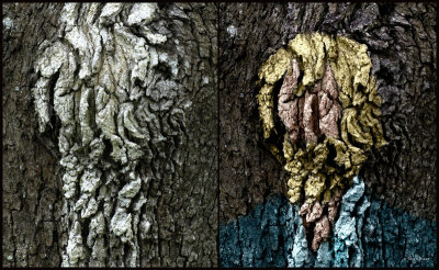 Weathered Old Man