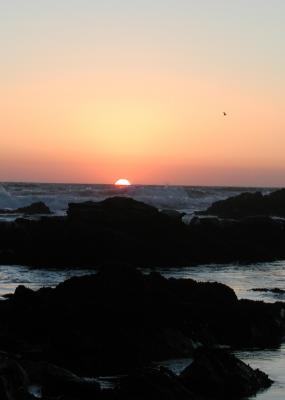 California Sunset3