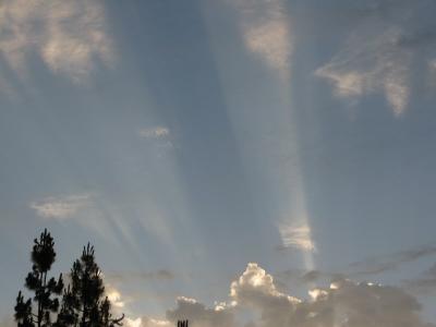 Sunday Sunrise