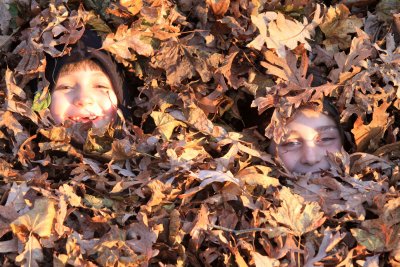 Leaf Gathering