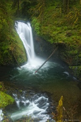 Butte Creek Falls