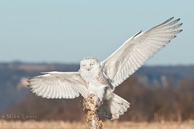 Snowy landing