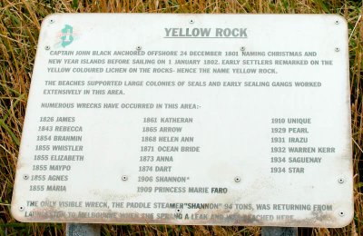 Yellow Rock.jpg