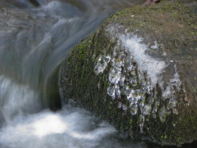 Tjute creek detail II