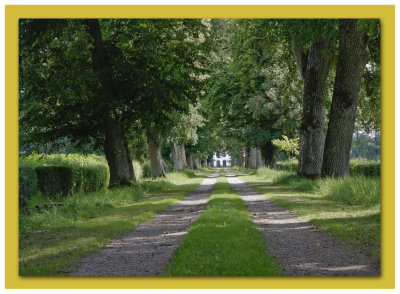 The avenue to Blteberga mannor