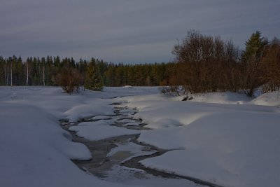 Kaakamojoki