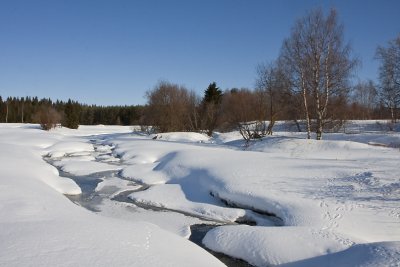 Kaakamojoki