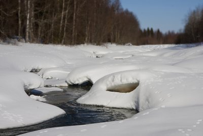 Kaakamojoki