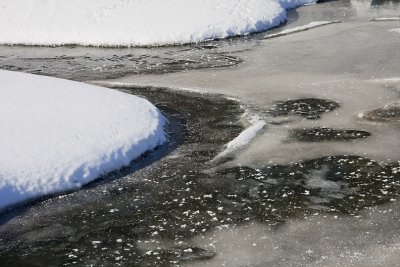 Kaakamojoki