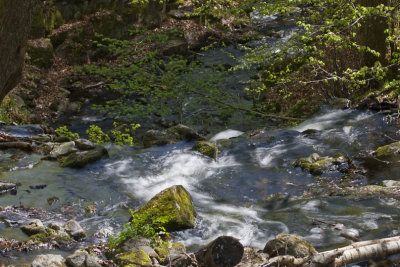 Ravine of the Forsakar creek