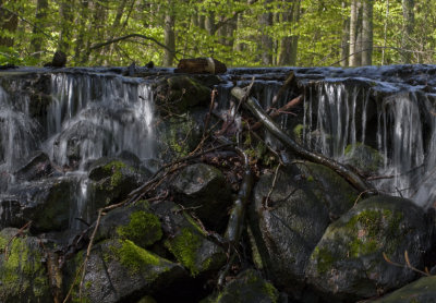 Ravine of the Forsakar creek